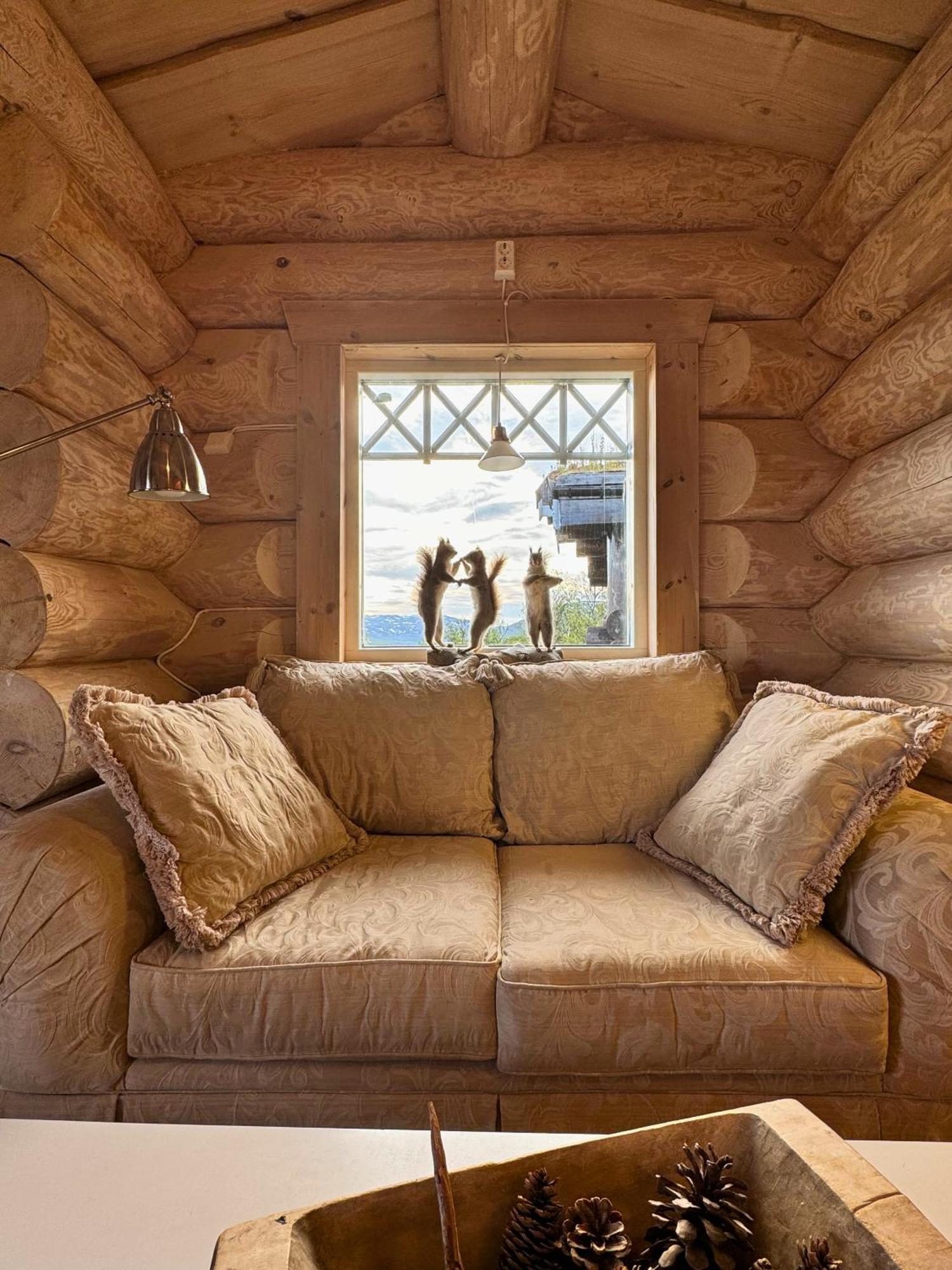Unique Arctic Timber Cabin Skaidi Dış mekan fotoğraf