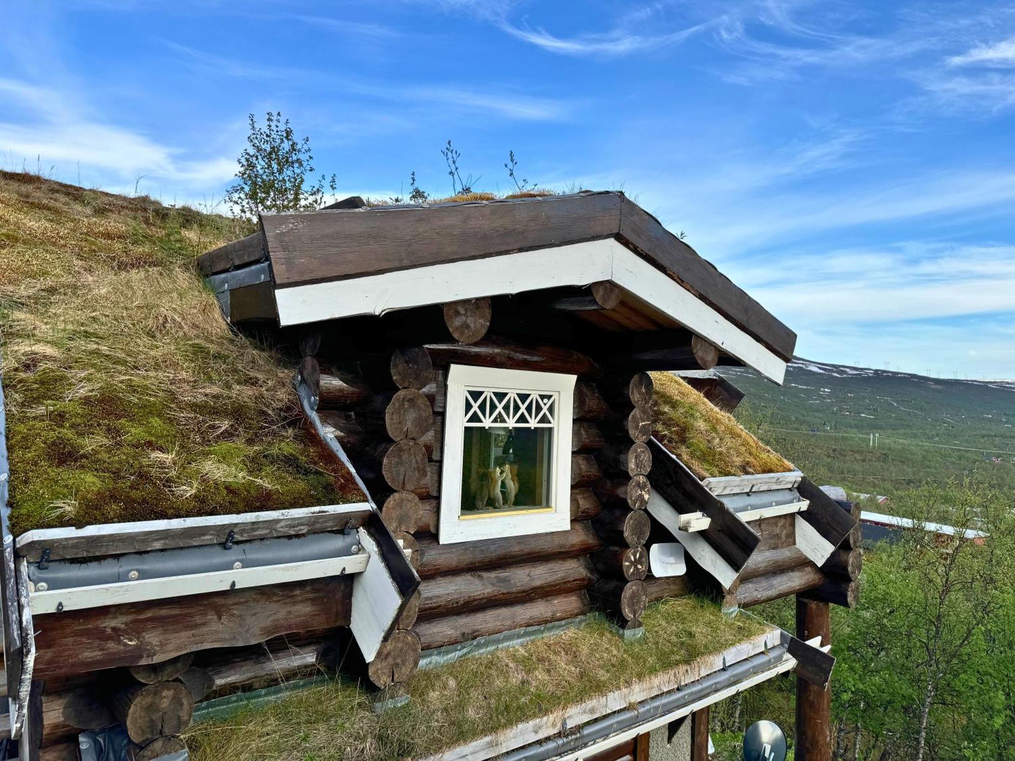Unique Arctic Timber Cabin Skaidi Dış mekan fotoğraf